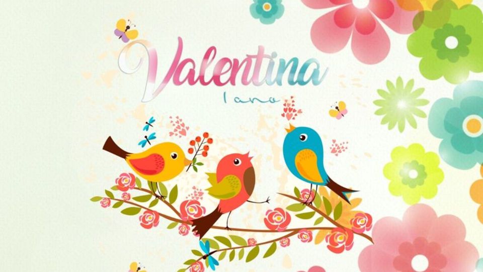 Aniversário 01 Ano - Valentina