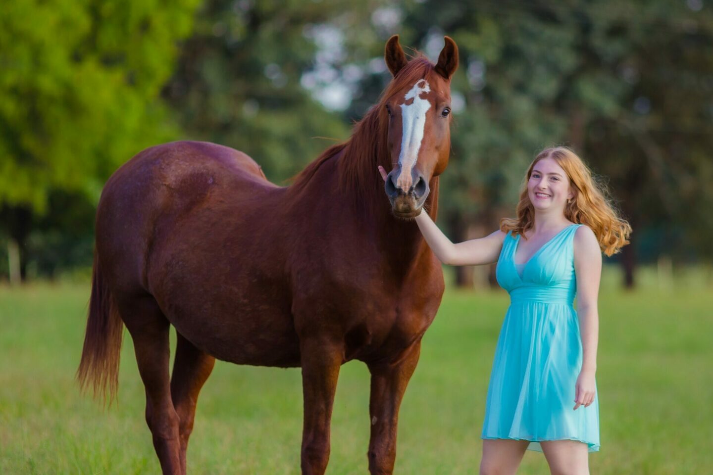Book - 15 Anos Luana